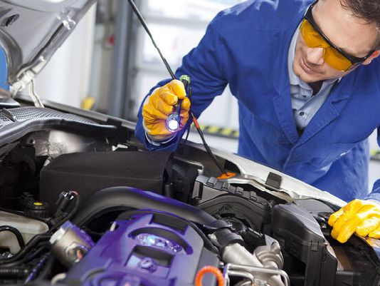 Odoo • Texto e imagen