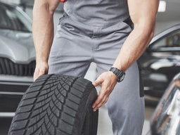 PK | REVISIÓN COMPRA (básica)